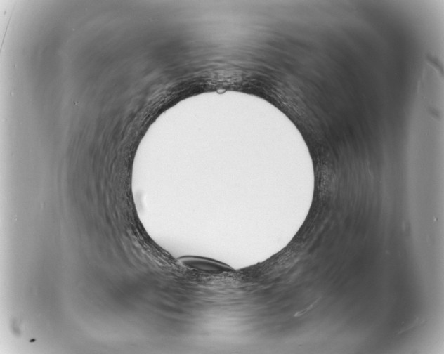 X0000101481153200808041122