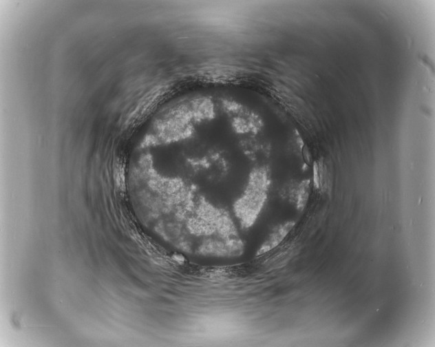 X0000101481155200808041122