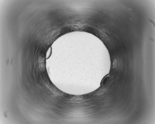 X0000101481156200808041122