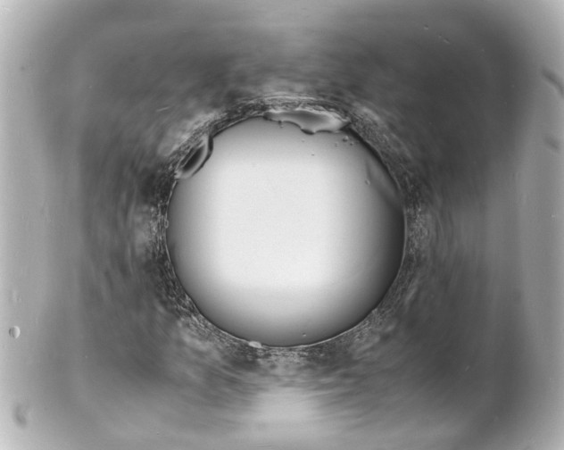 X0000101481157200808041122