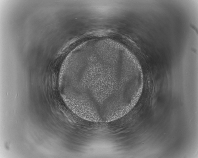 X0000101481158200808041122