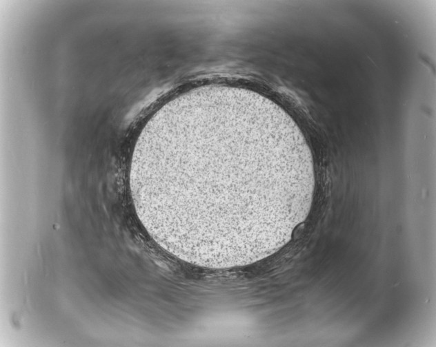 X0000101481159200808041122