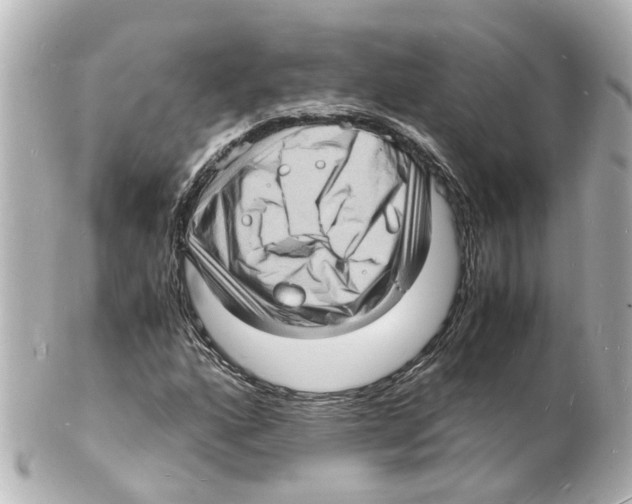 X0000101481160200808041121