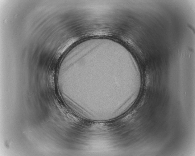 X0000101481162200808041121