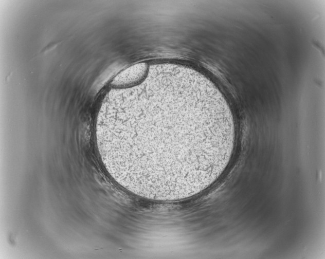 X0000101481163200808041121