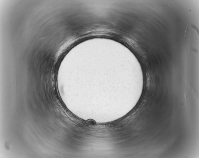 X0000101481164200808041121