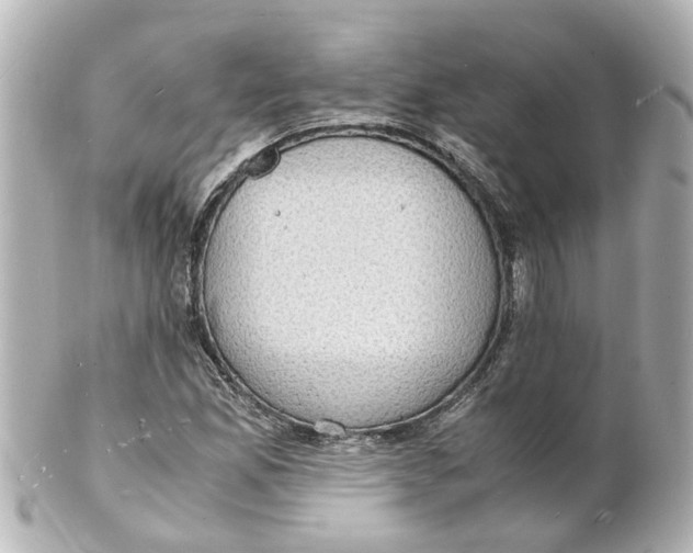 X0000101481165200808041121