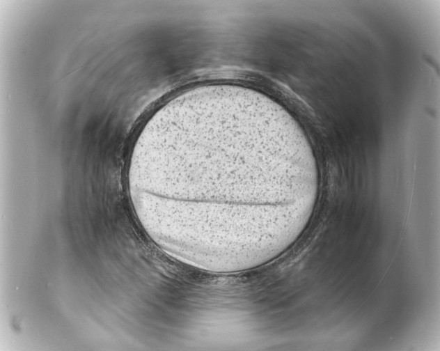 X0000101481166200808041121