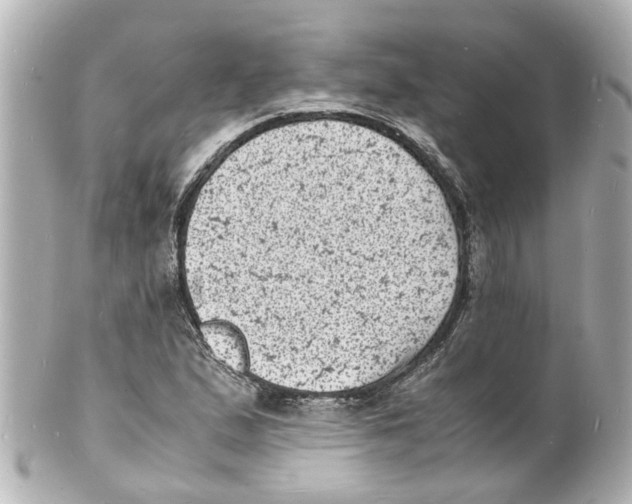 X0000101481167200808041121