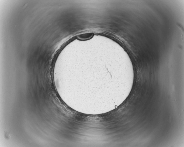 X0000101481168200808041121