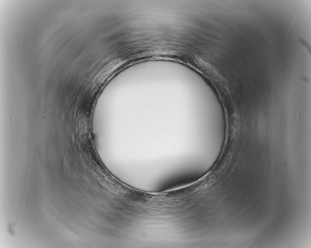 X0000101481169200808041121