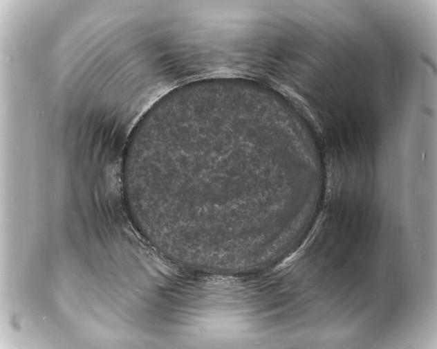 X0000101481170200808041121