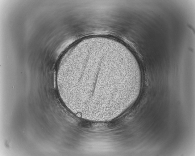 X0000101481171200808041121