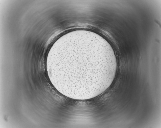 X0000101481172200808041121