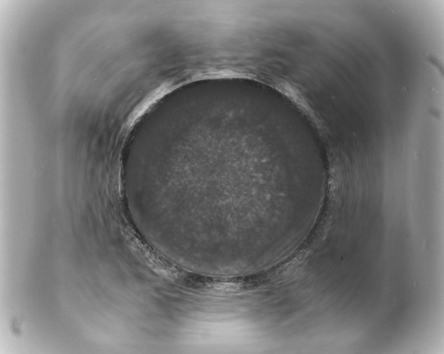 X0000101481173200808041121