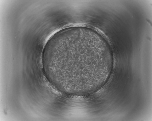 X0000101481174200808041121