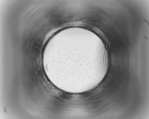 X0000101481176200808041121