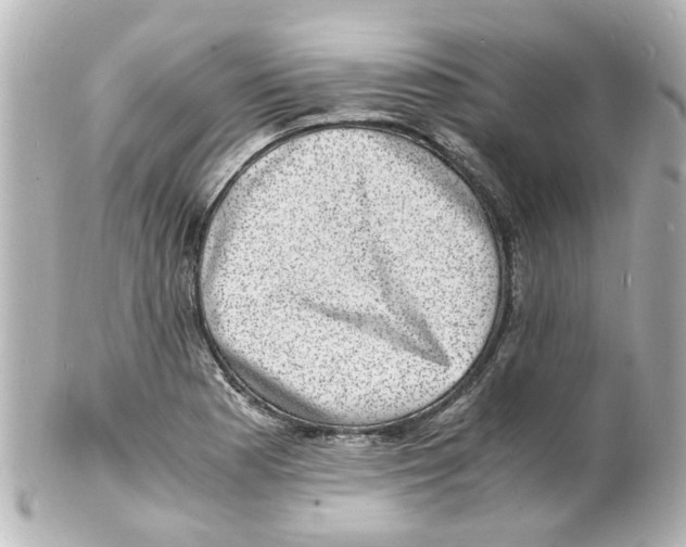 X0000101481177200808041121