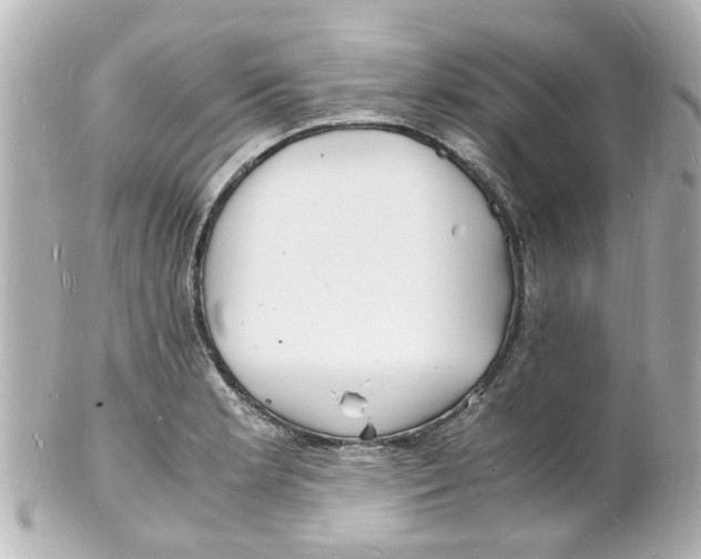 X0000101481181200808041121