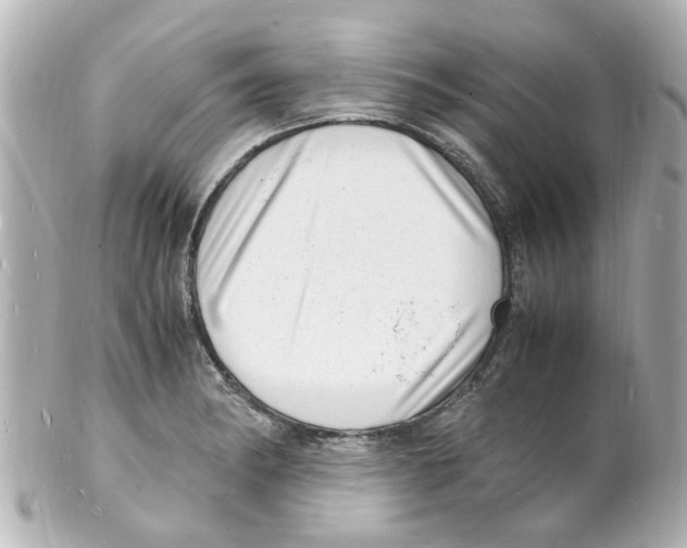 X0000101481182200808041121