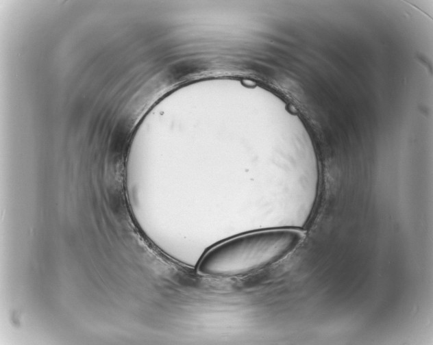 X0000101481185200808041121