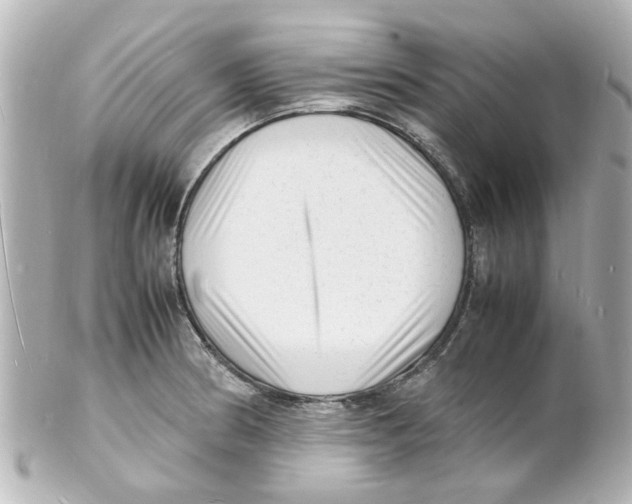 X0000101481186200808041121