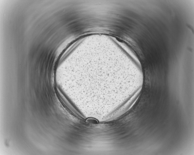 X0000101481188200808041121