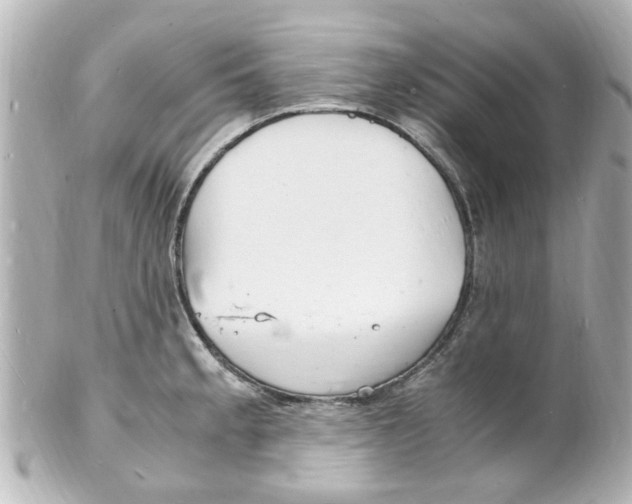 X0000101481189200808041121