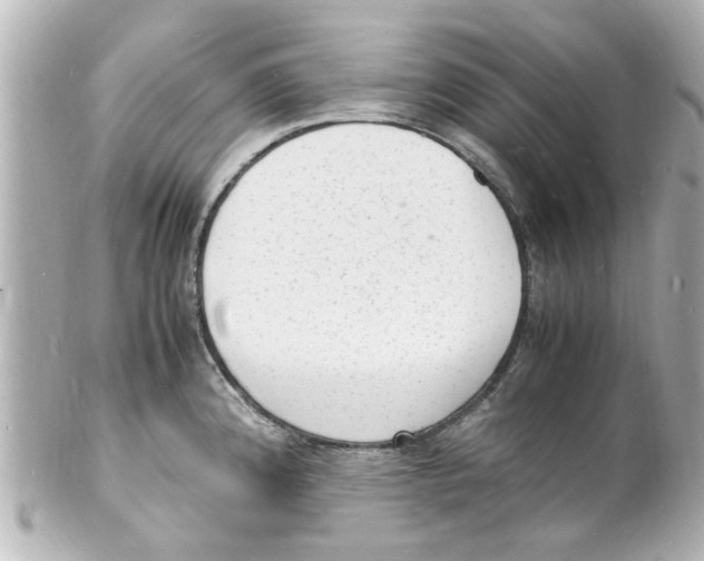 X0000101481192200808041121