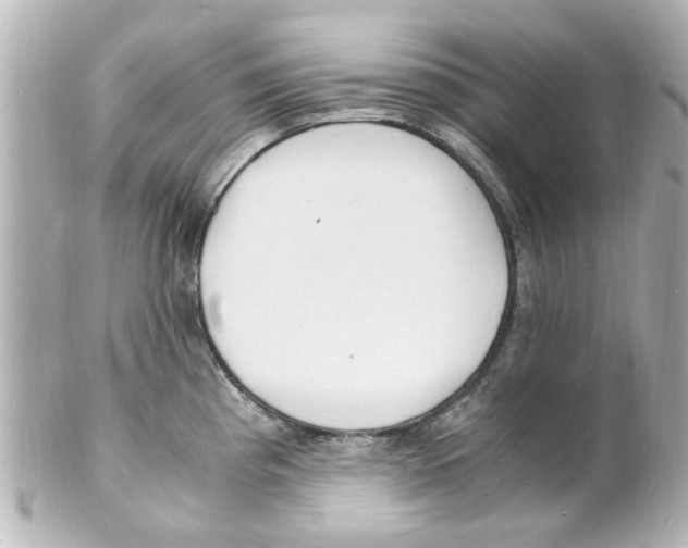 X0000101481193200808041121