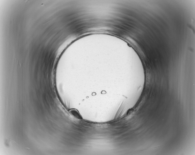 X0000101481196200808041121