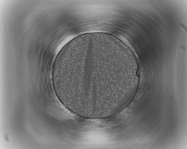 X0000101481197200808041121