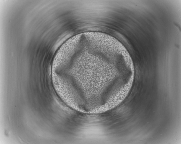 X0000101481198200808041121