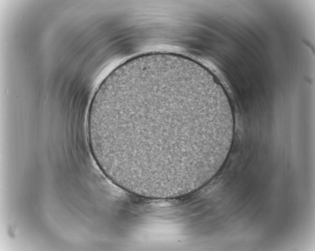 X0000101481199200808041121