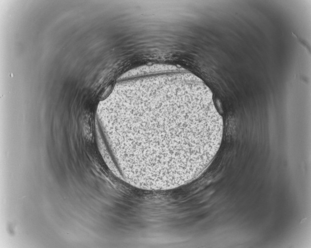 X0000101481202200808041120