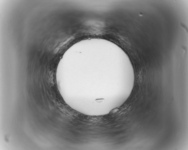 X0000101481205200808041120