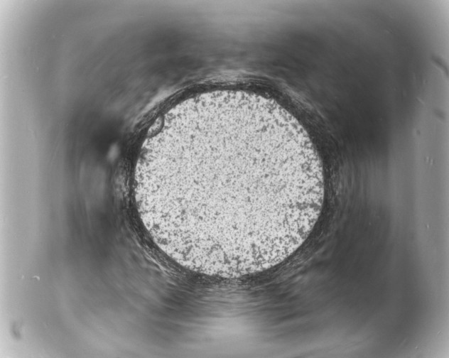 X0000101481206200808041120