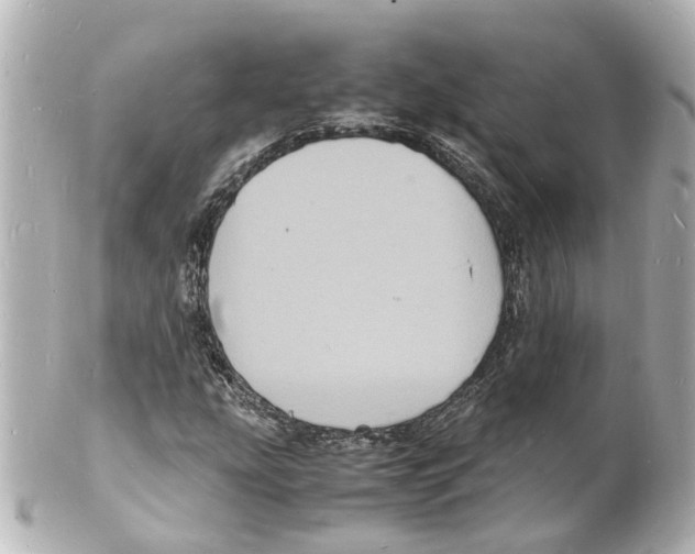 X0000101481207200808041120