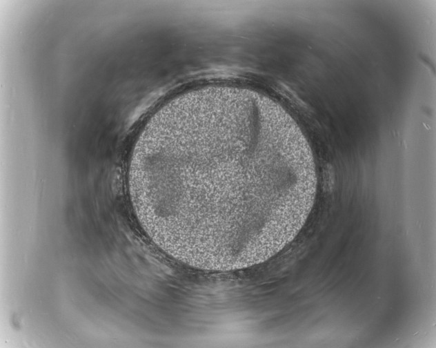 X0000101481208200808041120