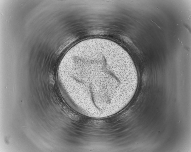 X0000101481209200808041120