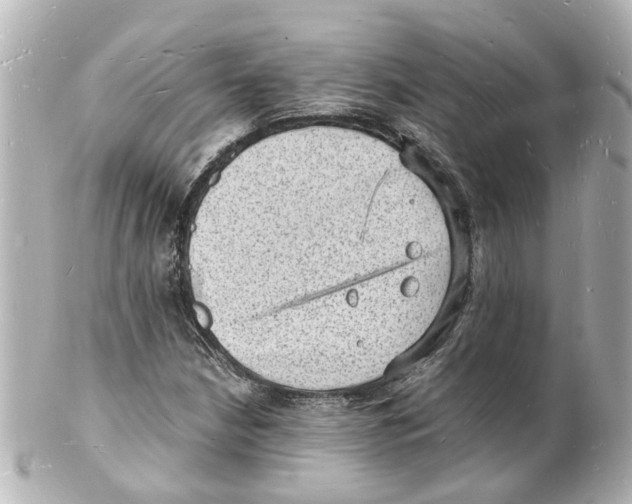 X0000101481210200808041120