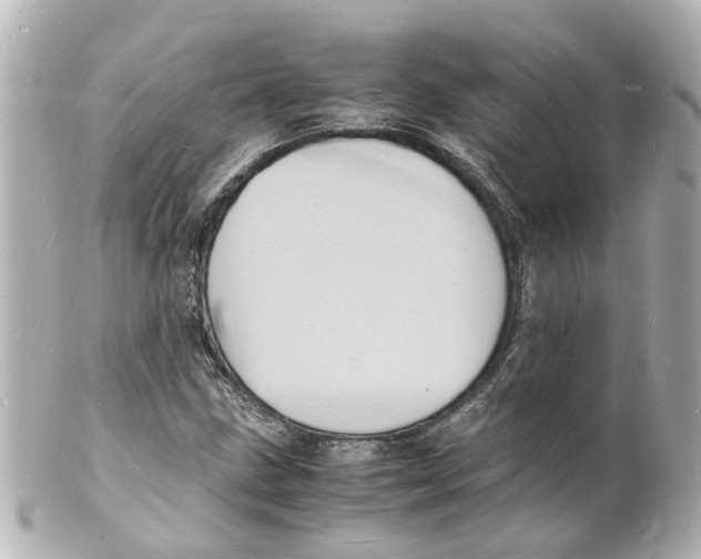 X0000101481211200808041120