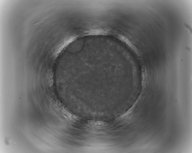 X0000101481213200808041120