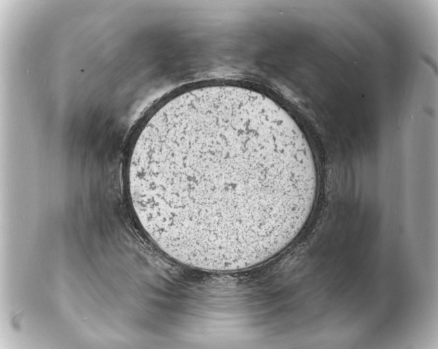 X0000101481214200808041120