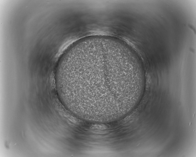 X0000101481215200808041120