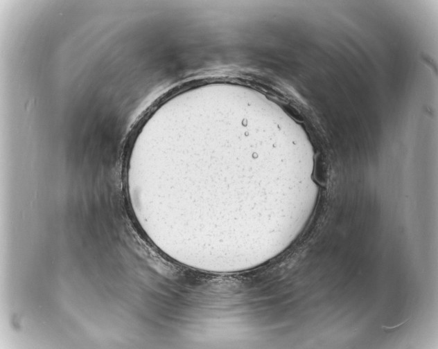 X0000101481216200808041120