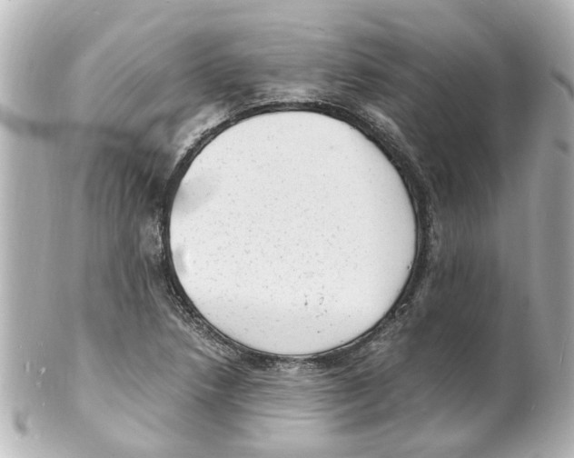 X0000101481218200808041121