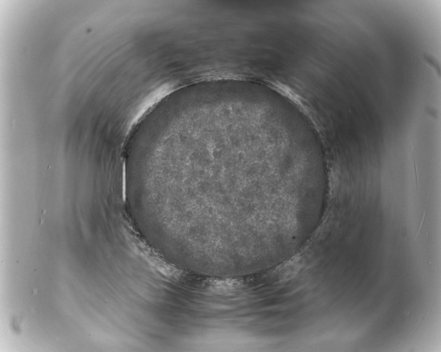 X0000101481219200808041121