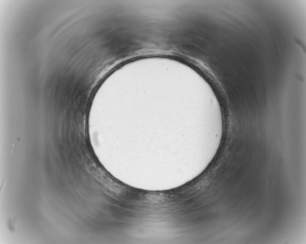 X0000101481220200808041121