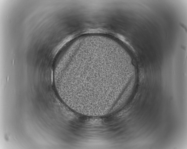 X0000101481221200808041121